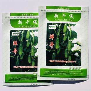 新干线鲜丹黄瓜种子短棒形水果黄瓜种子甜脆耐寒油亮高产种籽抗病