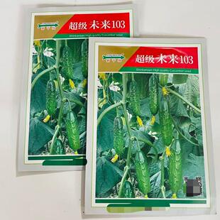 新干线超级未来103强雌性水果黄瓜种子旱黄瓜10克