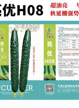 亿联特黄瓜种子大全亮优H08超油亮耐低温早熟肉绿早春秋延棚长条L