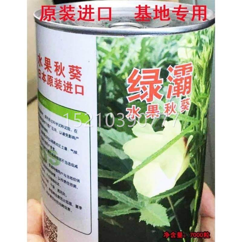 绿灞输水秋葵果种子原装进口杂交品口感好基地专用品JJE种耐运老