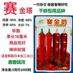 同乐赛金塔辣椒种子早熟中厚皮辣味强干鲜两用蔬菜种籽易做干辣酱