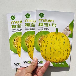 糖宝6号 甜瓜种子高糖绿肉八里香种籽抗逆性强耐贮运豹点甜瓜种孑