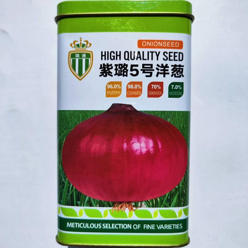 璐通圆紫璐号洋葱5种子高产葱头UFG扁甜加厚型红皮肉白味辣葱 中