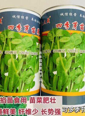 义天晟四季芽苗菜种子苗菜肥壮味道鲜美纤维少四季芽菜种蔬菜种子
