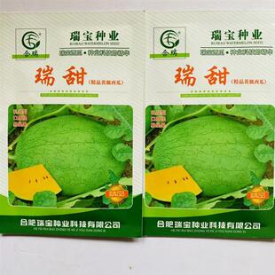 瑞甜精品黄瓤西瓜种子极早熟椭圆形薄皮礼品小西瓜种籽超甜西瓜种
