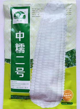 中糯二号玉米种子中熟白糯玉米种子春秋高产鲜食甜糯玉米种子