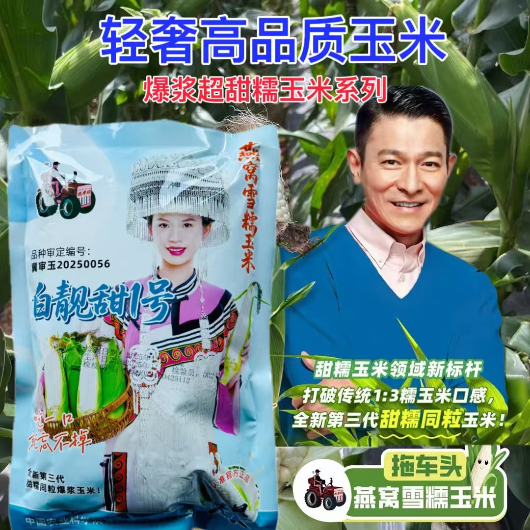 正品500g/50g燕窝雪糯玉米种子白靓甜1号原装爆浆甜糯玉米拖车头,农用物资,蔬菜种子/种苗,淘宝优惠券,粉丝福利购,淘宝优惠卷