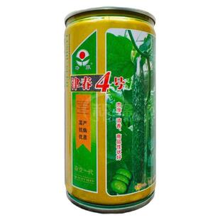 津春4号黄瓜种子早熟深绿油亮顺直高产绿肉瓤抗病南方北方春秋播