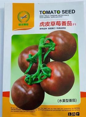 皮草莓番茄种籽品种质优熟虎皮番茄子西红柿早种子高产ZZL水果柿