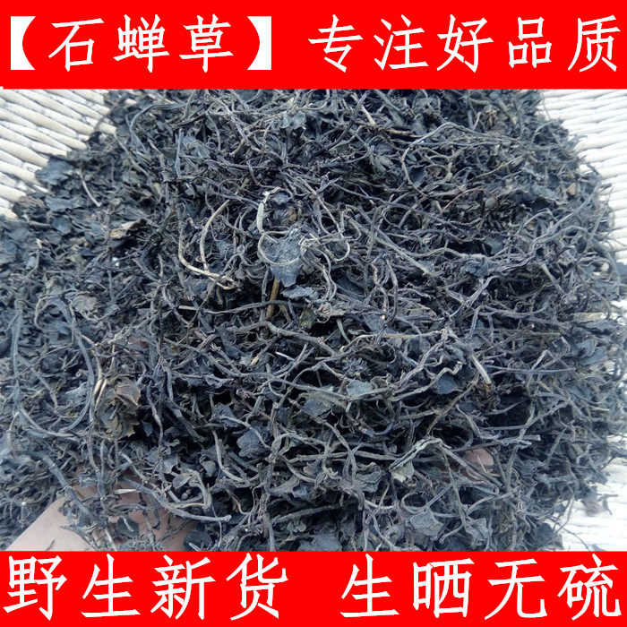 石蝉草 正宗中药材禅草 散血丹火伤叶胡椒草 500克农家原料