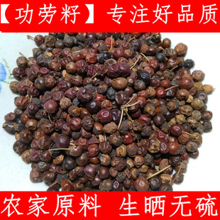 功劳籽 中药材功劳子 枸骨子 猫儿刺籽新鲜干货干净500克包邮