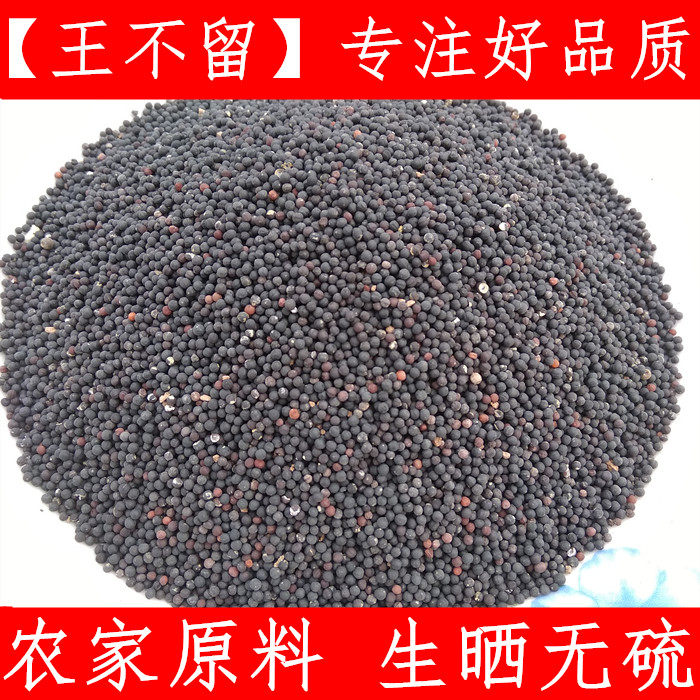 王不留行 中药材王不留 麦蓝菜 炒王不留行生的500克新货另售通草