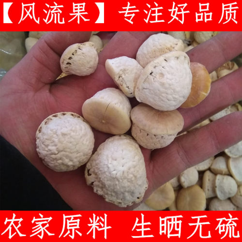 风流果 中药材风流果  骚龟头 龟头子 风流过 500克新货上市干净