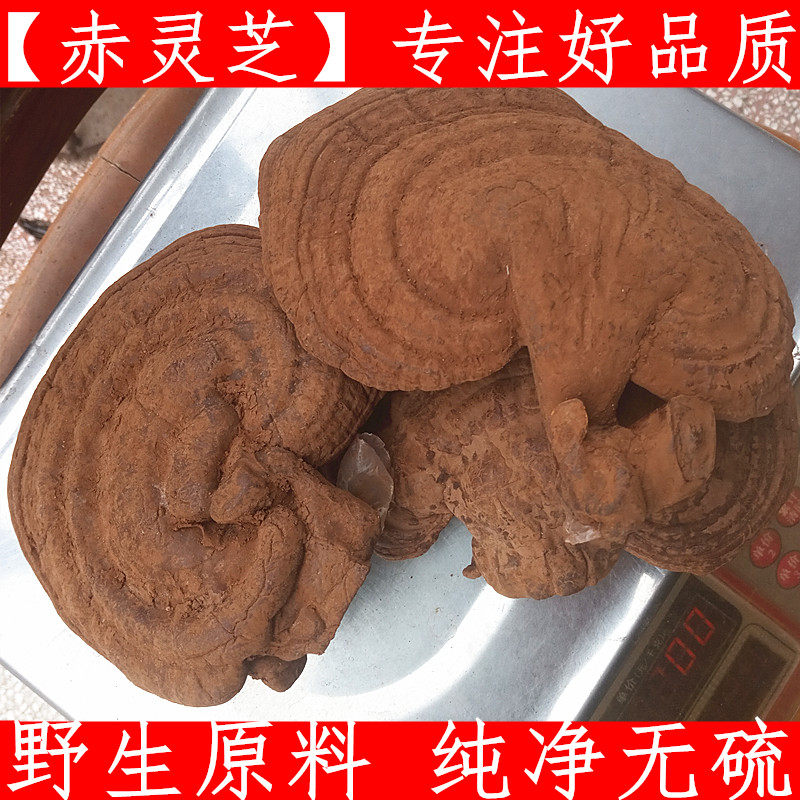 赤灵芝 中药材灵芝 赤灵芝 平盖灵芝非树舌紫灵芝500g克新货