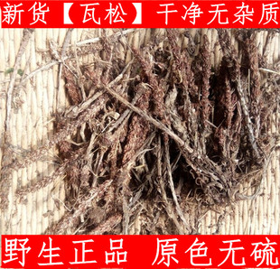 瓦松 款年新货中药材松瓦花 向天草 天铁塔草500g新鲜干货 可验货
