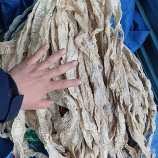 蛇蜕 龙衣 蛇皮长虫皮 蛇壳一条新货长1.5米左右整条完整中药材