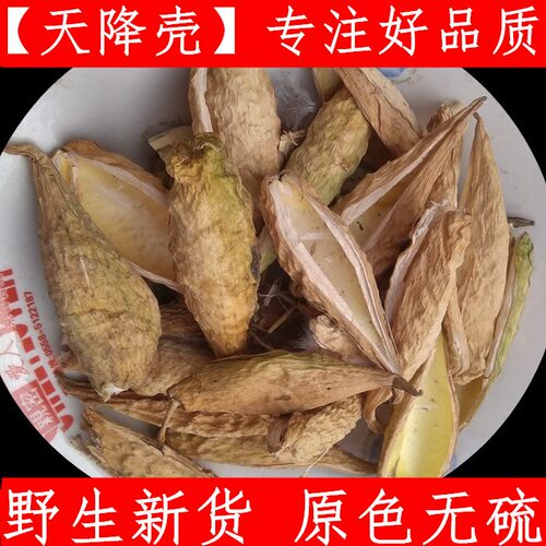 新鲜中药材天浆壳纯正无硫
