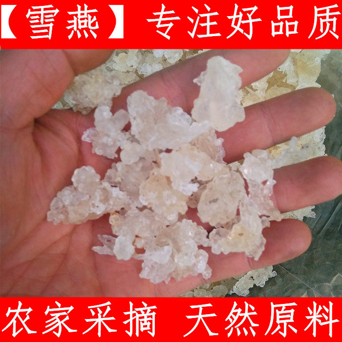 雪燕 植物燕窝 原料雪燕 生晒无硫500g包邮