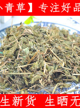爵床草 中药材爵床草新货小青草500克无硫 新鲜干货