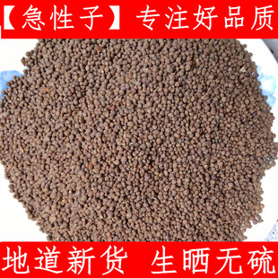 急性子 中药材急性子金凤花子凤仙子500克新鲜干货干净无杂质