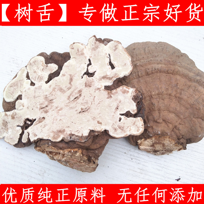树舌平盖/中药材野生灵芝/平盖 树舌灵芝 大灵芝 平盖树舌