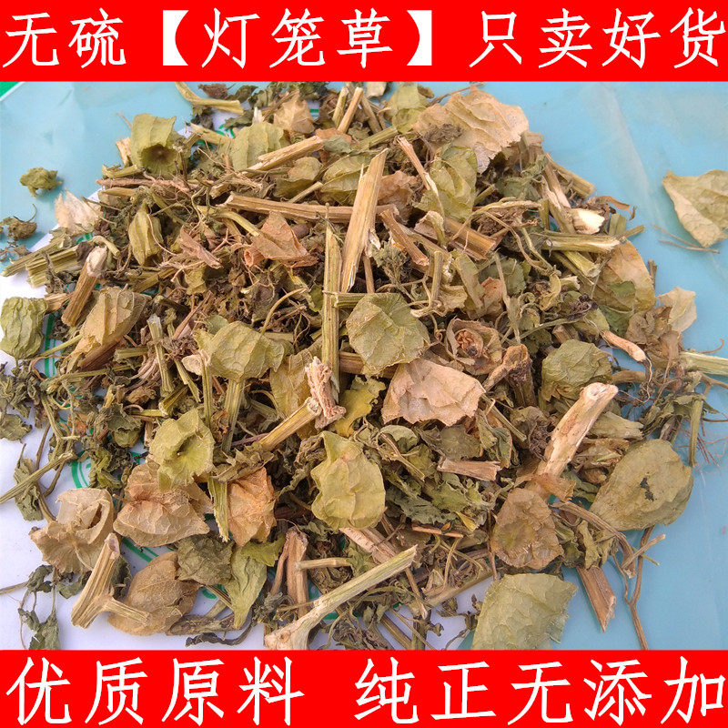 农家采摘 灯笼草 泡泡草 500克1斤免邮中药材灯笼草 新鲜干货上市