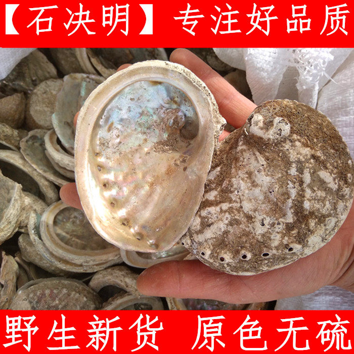 石决明粉 中药材生石决明粉 鲍鱼壳粉 九孔石决明500g免费磨粉