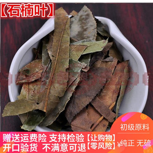 中药材石楠叶 石南叶 红树叶 石岩树叶 500克另售石楠藤  丁香叶
