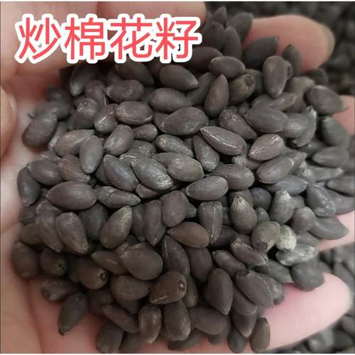 炒棉花籽中药材炒棉花子炒棉花籽炒棉花子炒棉花籽炒棉花籽