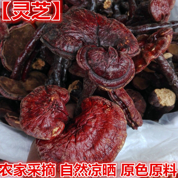 灵芝 长白山中药材整个灵芝 500克灵芝草灵芝片 新货上市