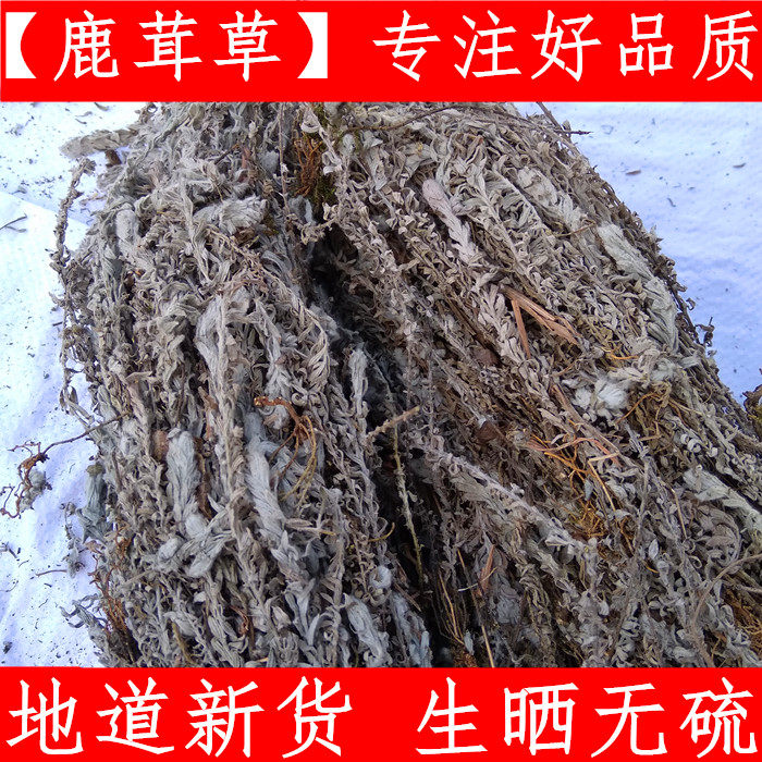 中药材鹿茸草 千年艾 六月霜 千重塔 白龙骨500克包邮 保证质量