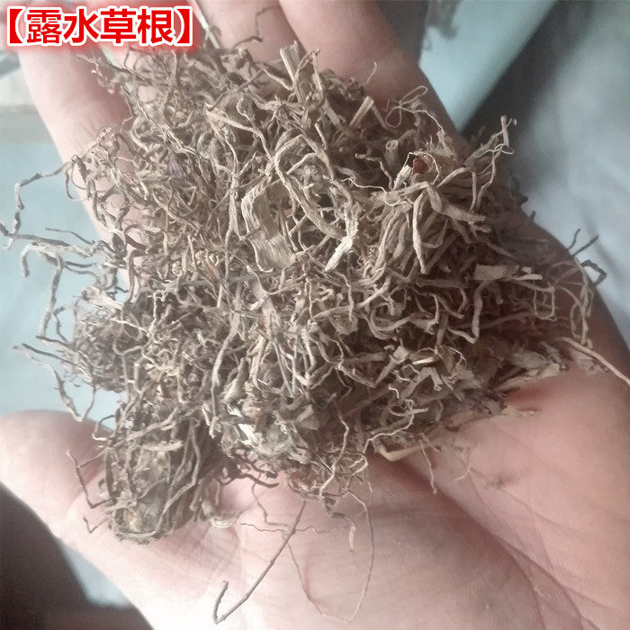 中药材露水草根鸡冠参根 蓝耳草 如意草 珍珠露水草根500克包邮