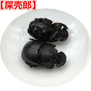 壳郎材 中药材大将军 壳郎胡蜣螂500g生晒无硫支持验货无盐无添加