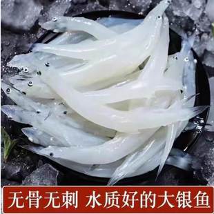 苏北生态淡水银鱼新鲜冷冻面条鱼白饭鱼孕妇宝宝辅食银鱼