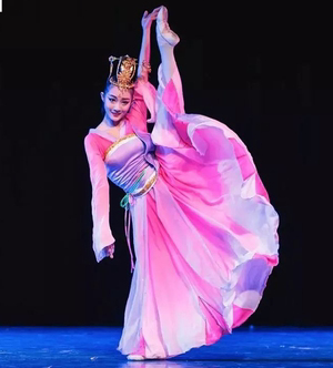 桃李杯古典舞 铜雀女 舞蹈服独舞表演服中国风飘逸演出服装定制