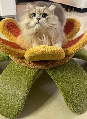 Camily太阳花猫花床猫窝