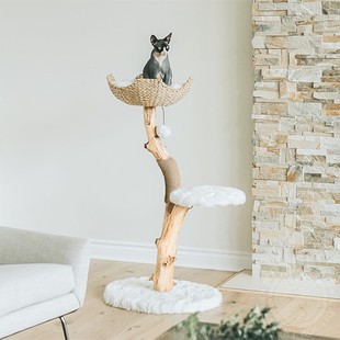凯瑞猫爬架藤编树枝猫爬架猫窝猫树猫跳台猫玩具磨爪猫架子猫爬树
