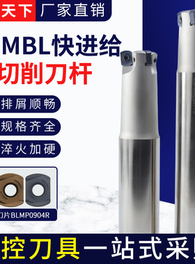 TFMBL双面快进给数控铣刀杆BLMP0904特固克铣刀片钢件不锈钢开粗