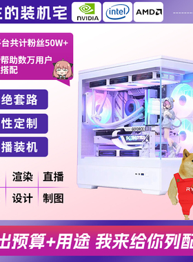 【野生的装机宅】定制台式DIY电脑组装机游戏电脑电竞主机