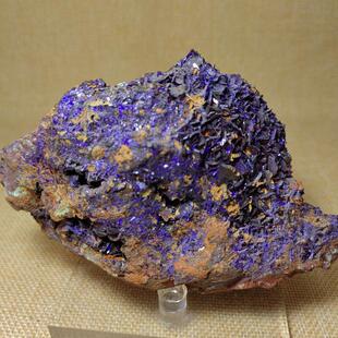 N97天然大晶体蓝铜矿原石矿标Azurite 矿物晶体石青教学 晶簇矿石