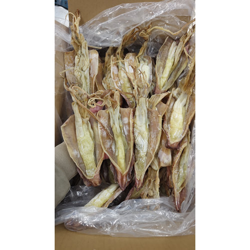 新鲜带籽鱿鱼母干孕妇煲汤4-7个