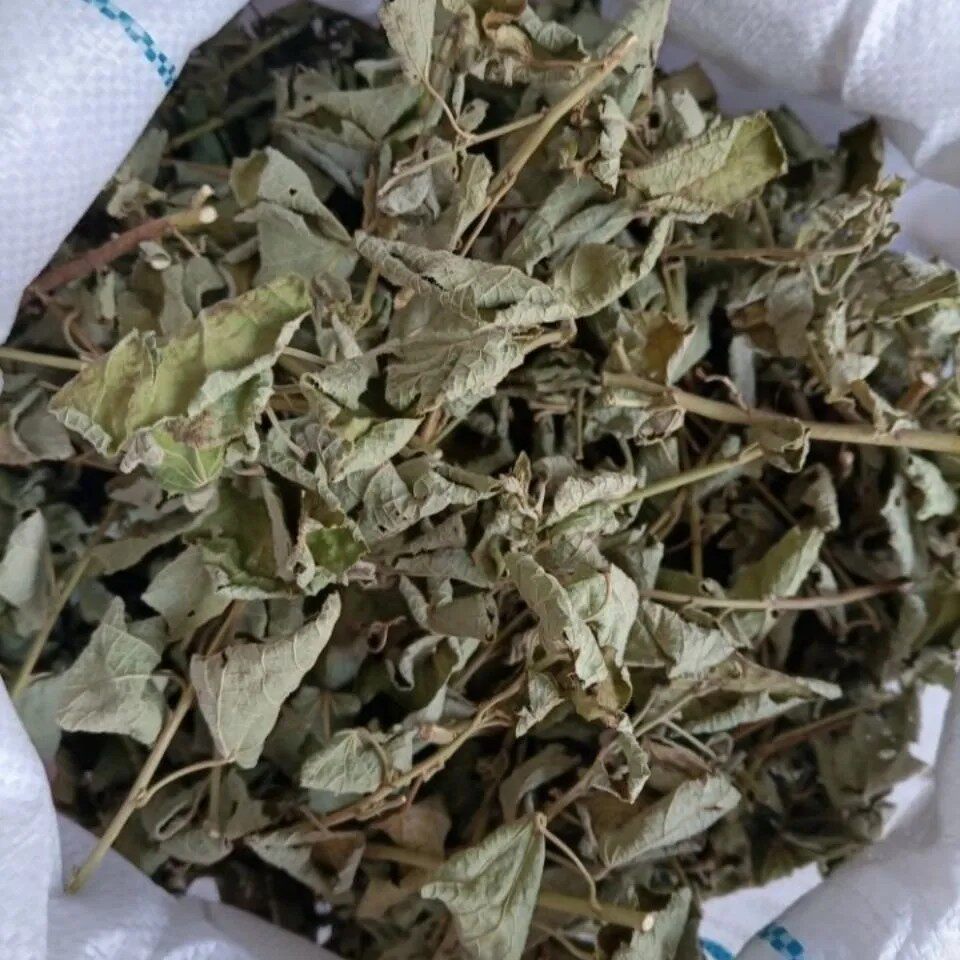 天然青草白花虱母草头叶 虱母头叶 虱子母枝叶 干货500g包邮