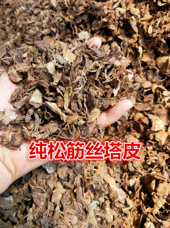 包邮松筋丝塔壳松塔土君之兰花铁皮石斛等取代花生壳椰康蕨根