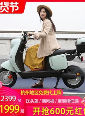 绿源电动自行车长跑铅酸电池NFC