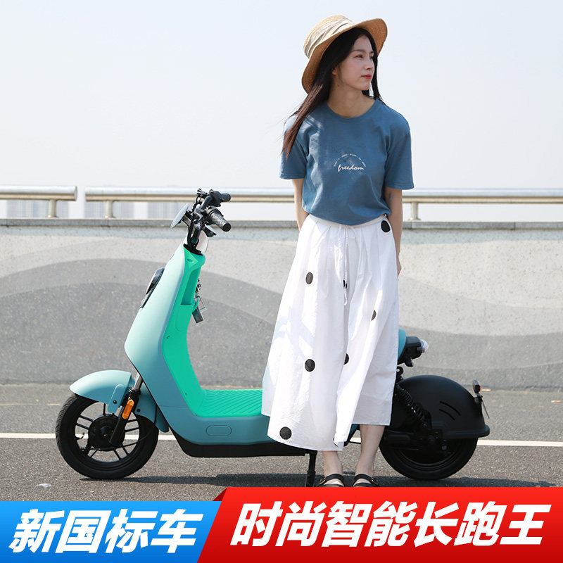 绿源电动车新国标长跑电动自行车liva6男女代步电瓶车锂电池liva7
