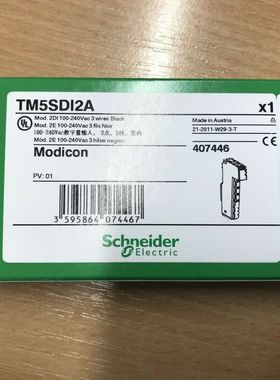 施耐德全新原装TM5NEIP1 TM5NEIP1K TM5SPS1现货模块