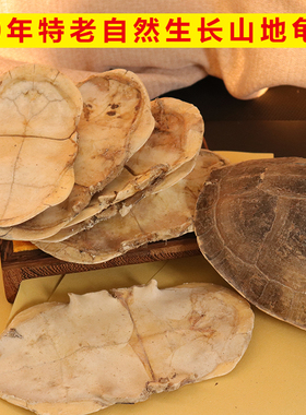 生晒30年特老山地旱地龟壳龟甲中药上甲腹甲煮汤龟苓膏龟胶药引子