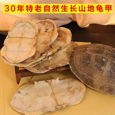 生晒30年特老山地旱地龟壳龟甲中药上甲腹甲煮汤龟苓膏龟胶药引子