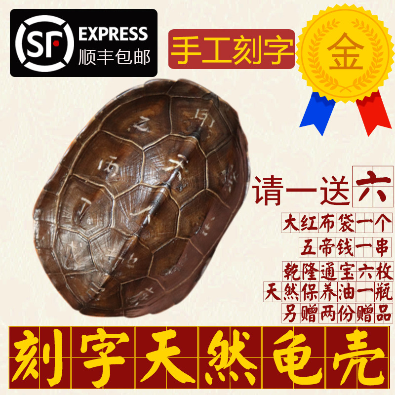 手工刻字天然真乌龟壳真龟甲文玩手把件六爻铜钱易经64卦算挂摇卦