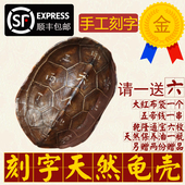 手工刻字天然真乌龟壳真龟甲文玩手把件六爻铜钱易经64卦算挂摇卦